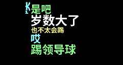 《论如何跟领导踢球》——詹俊与张路合著